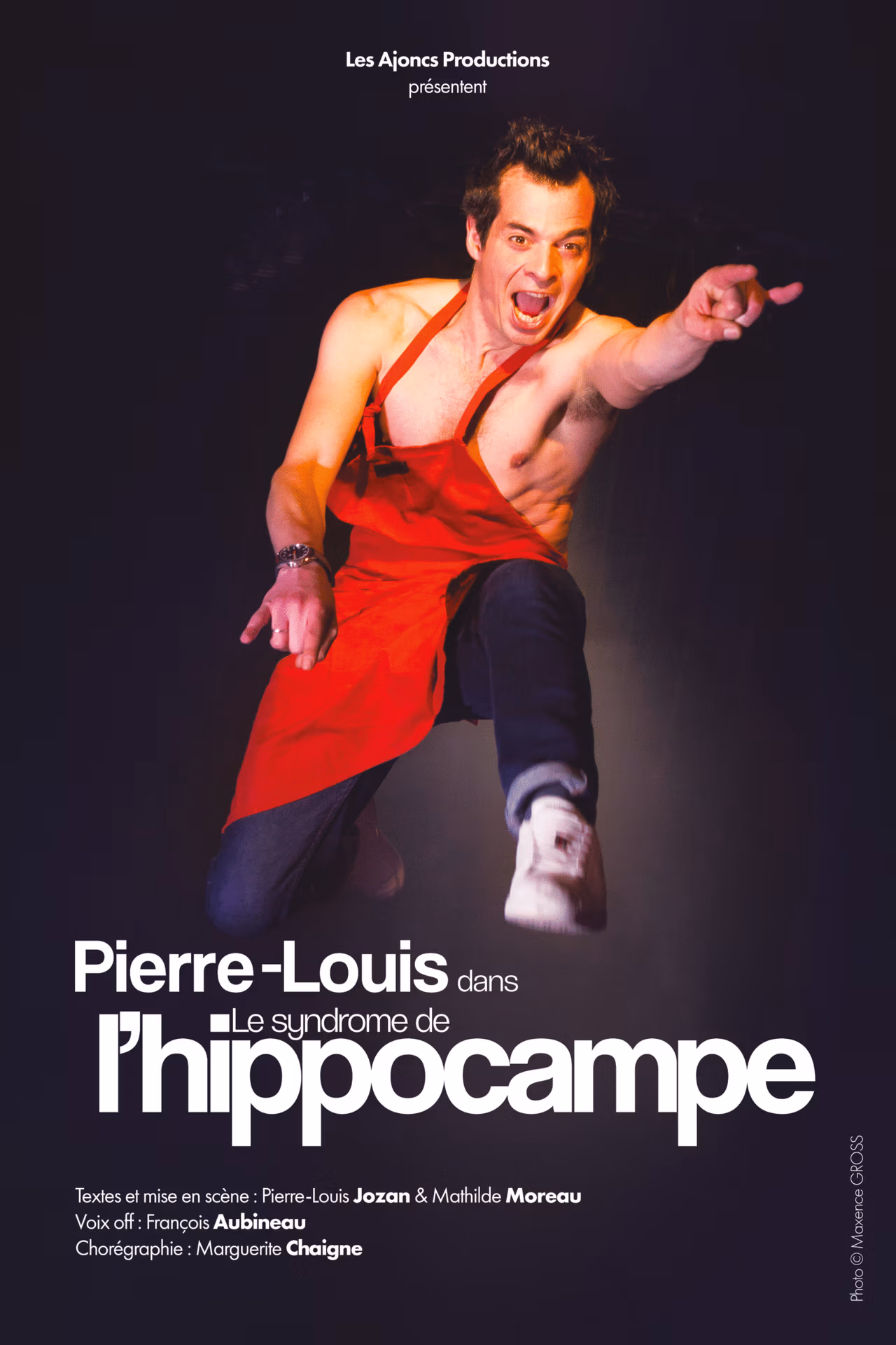 Affiche de Pierre-Louis «&nbsp;Le syndrome de l'hippocampe&nbsp;», spectacle du réveillon le 31 décembre à La Petite Compagnie à Nantes