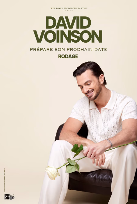 David Voinson Nantes