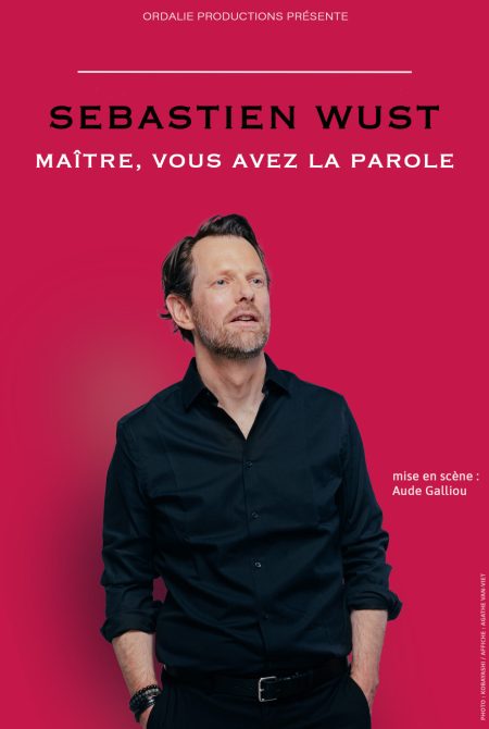 Sébastien Wust en spectacle à Nantes - One Avocat Show