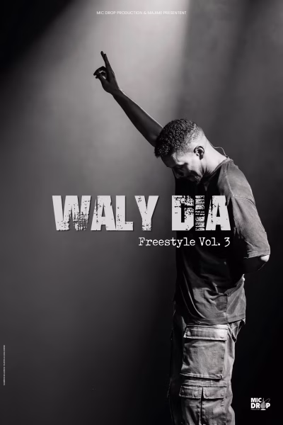 Waly Dia Nantes - Nouveau Spectacle