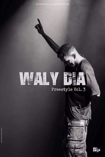 Waly Dia Nantes - Nouveau Spectacle